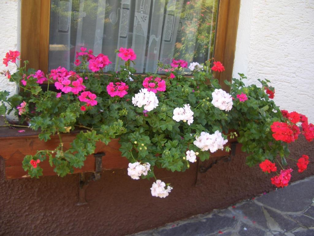 Haus Brigitte - Preise Inclusive Pitztal Sommer Card Jerzens Esterno foto