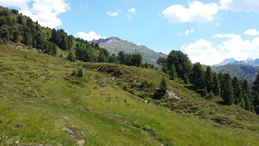 Haus Brigitte - Preise Inclusive Pitztal Sommer Card Jerzens Esterno foto