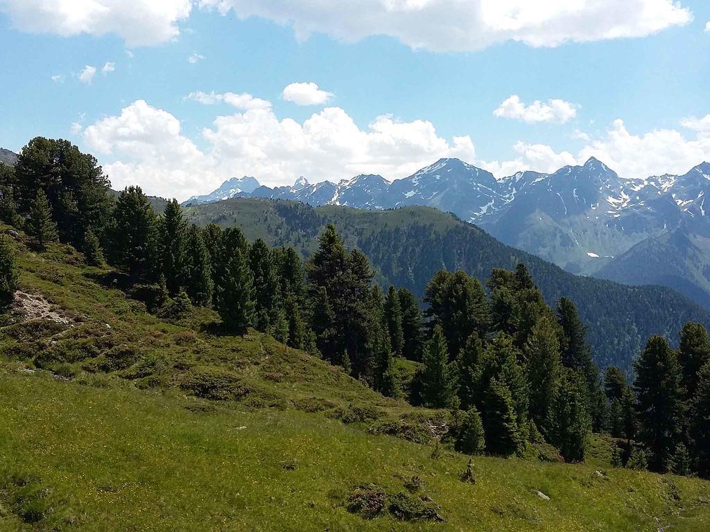 Haus Brigitte - Preise Inclusive Pitztal Sommer Card Jerzens Esterno foto