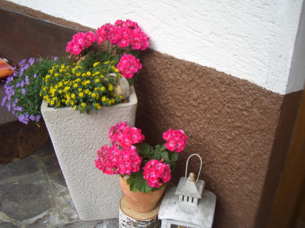Haus Brigitte - Preise Inclusive Pitztal Sommer Card Jerzens Esterno foto