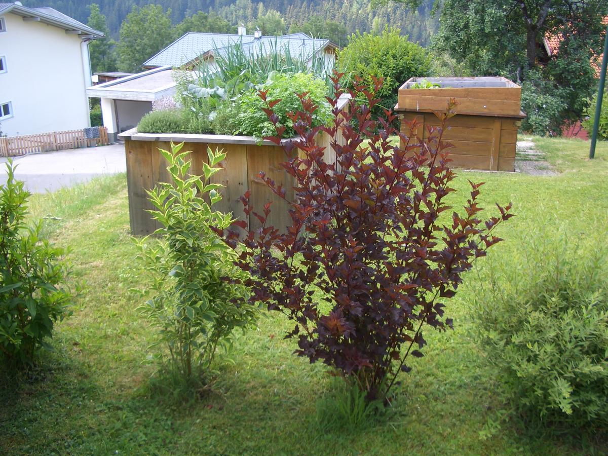 Haus Brigitte - Preise Inclusive Pitztal Sommer Card Jerzens Esterno foto